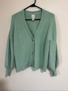 Joie Mint Green V-Neck Button Cardigan